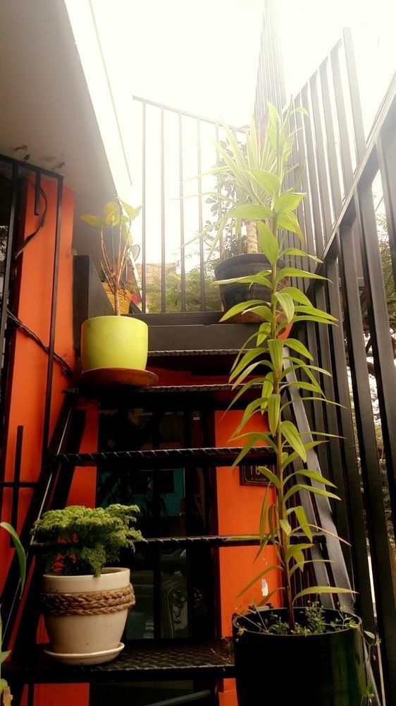 Limper - Airport Bed and breakfast 2*